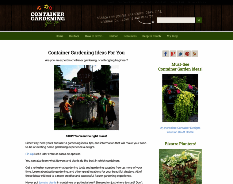 Container-gardening-for-you.com thumbnail
