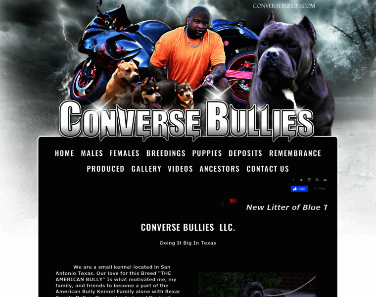 Conversebullies.com thumbnail