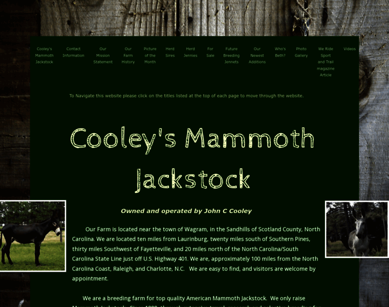 Cooleysmammothjackstock.com thumbnail