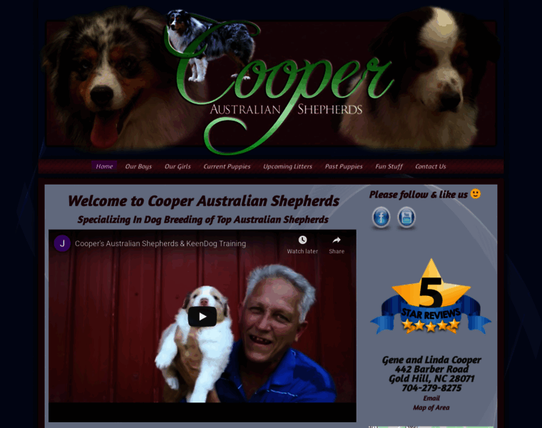 Cooperaustralianshepherds.com thumbnail