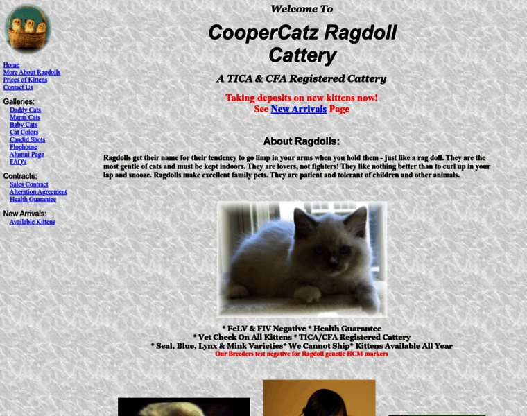 Coopercatz.com thumbnail