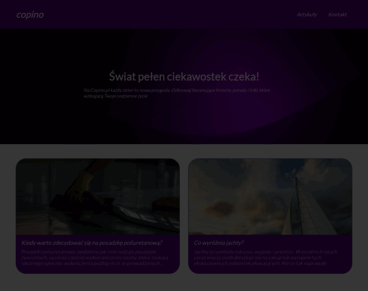 Copino.pl thumbnail