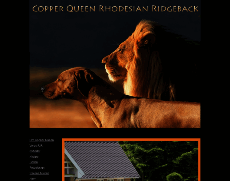 Copper-queen.com thumbnail