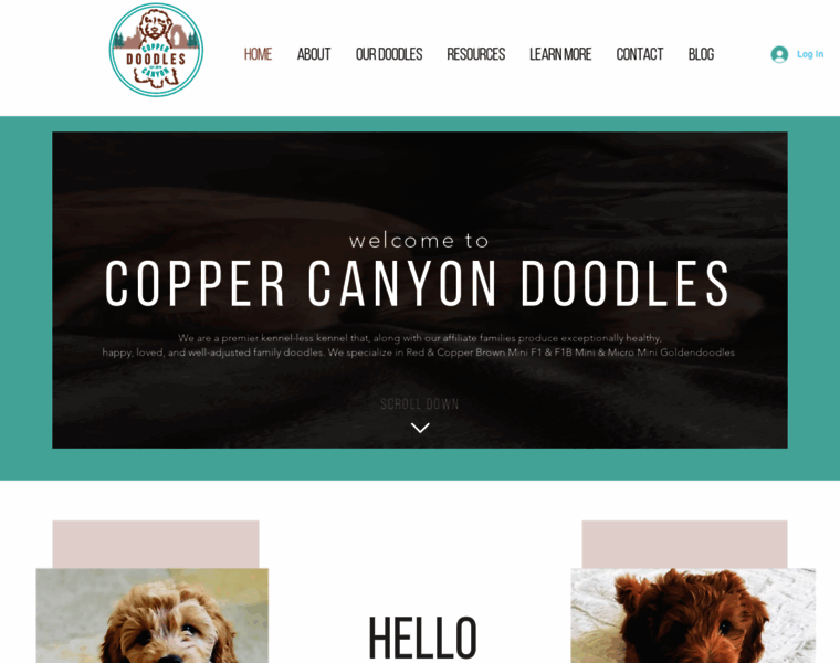 Coppercanyondoodles.com thumbnail