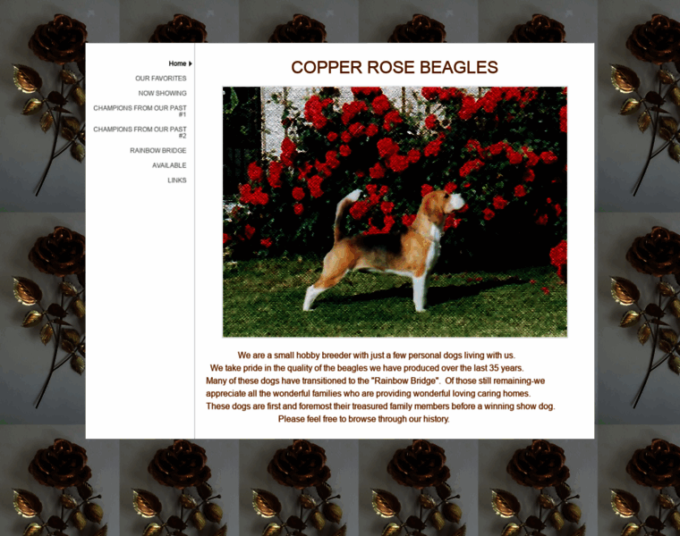 Copperrosebeagles.com thumbnail