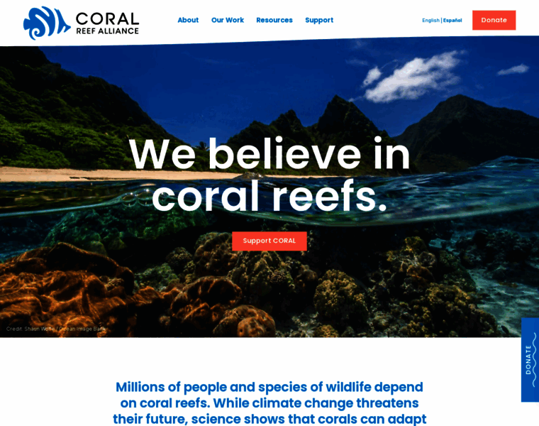 Coralreef.org thumbnail