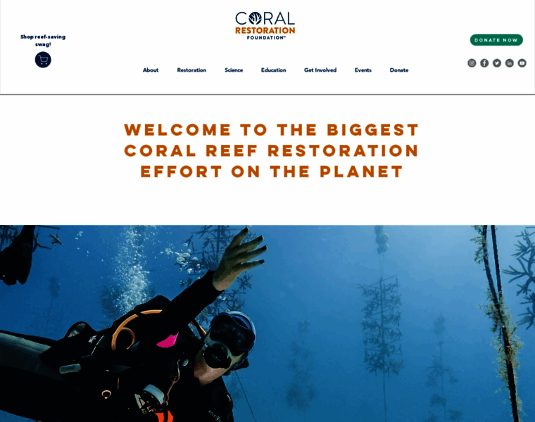 Coralrestoration.org thumbnail