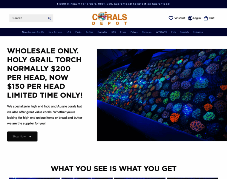 Coralsdepot.com thumbnail
