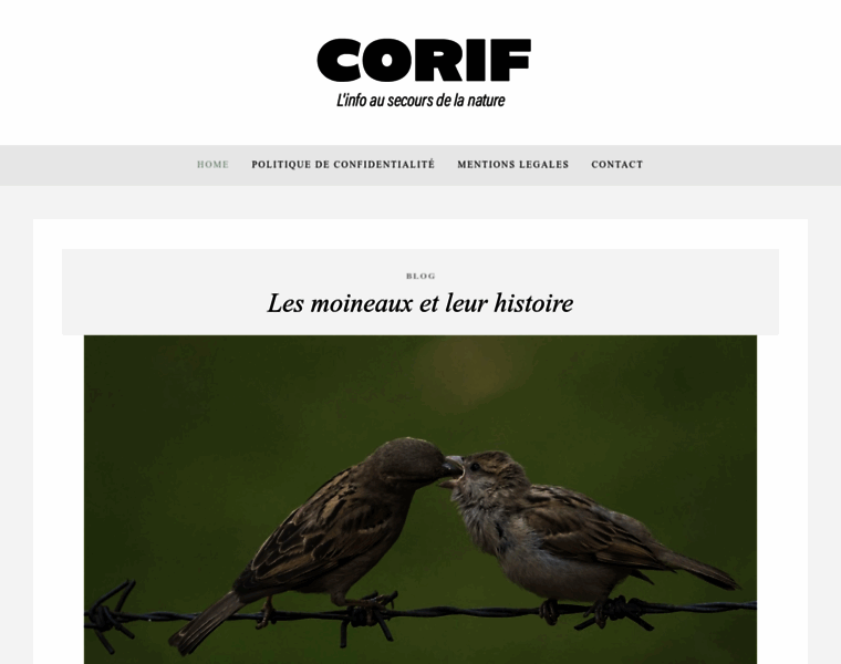 Corif.net thumbnail
