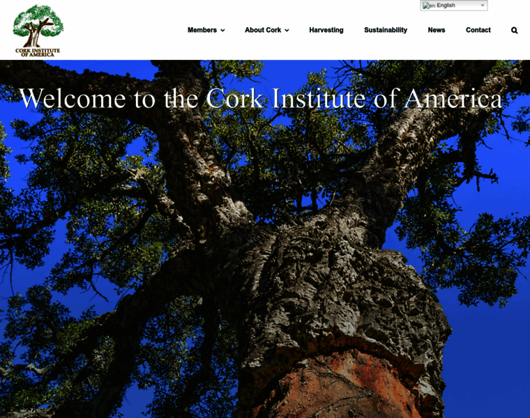 Corkinstitute.com thumbnail