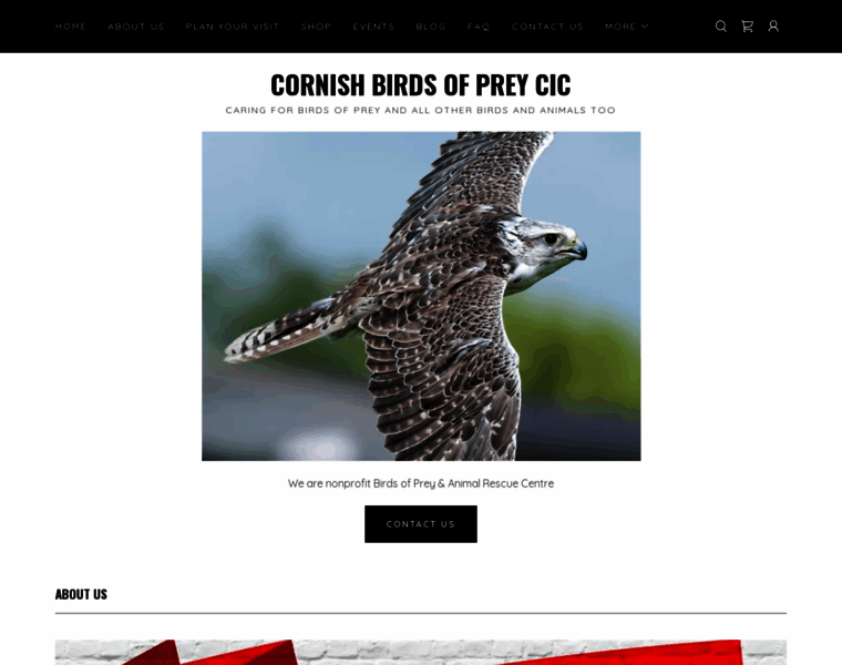 Cornishbirdsofprey.co.uk thumbnail