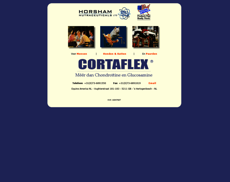 Cortaflex.nl thumbnail