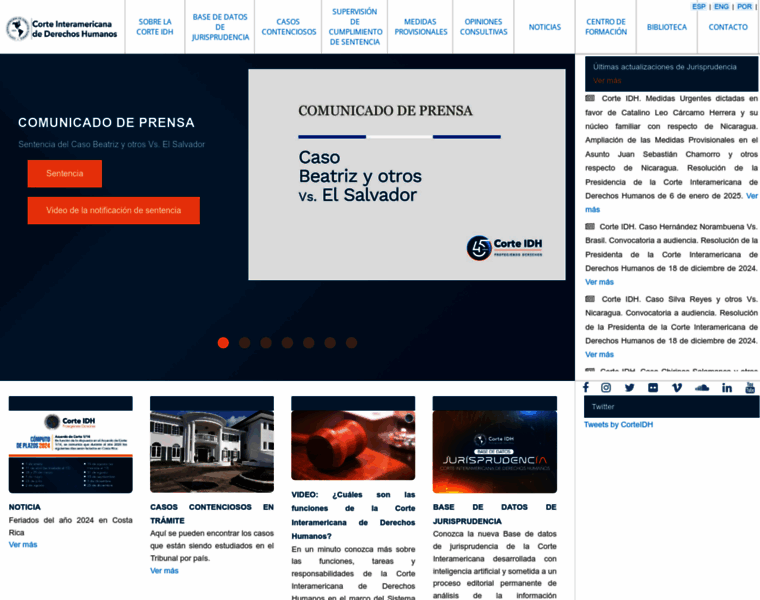 Corteidh.or.cr thumbnail