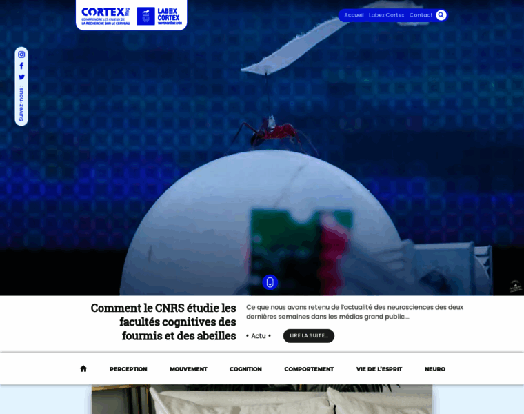 Cortex-mag.net thumbnail