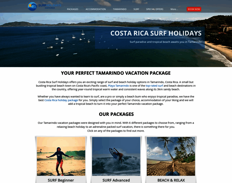 Costaricasurfholidays.com thumbnail