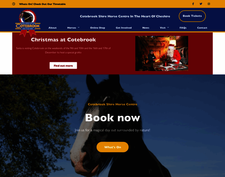 Cotebrookshirehorses.co.uk thumbnail