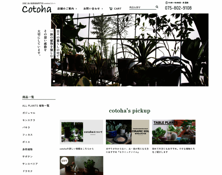 Cotoha-plants.com thumbnail