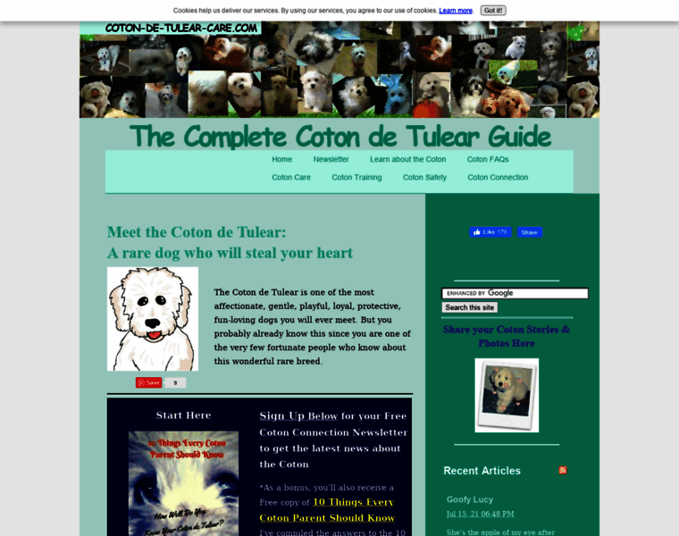 Coton-de-tulear-care.com thumbnail