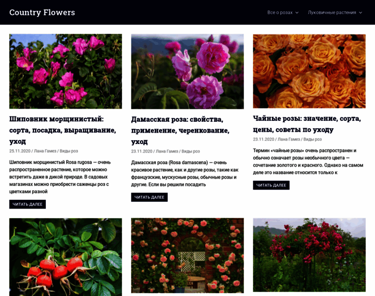 Countryflowers.ru thumbnail