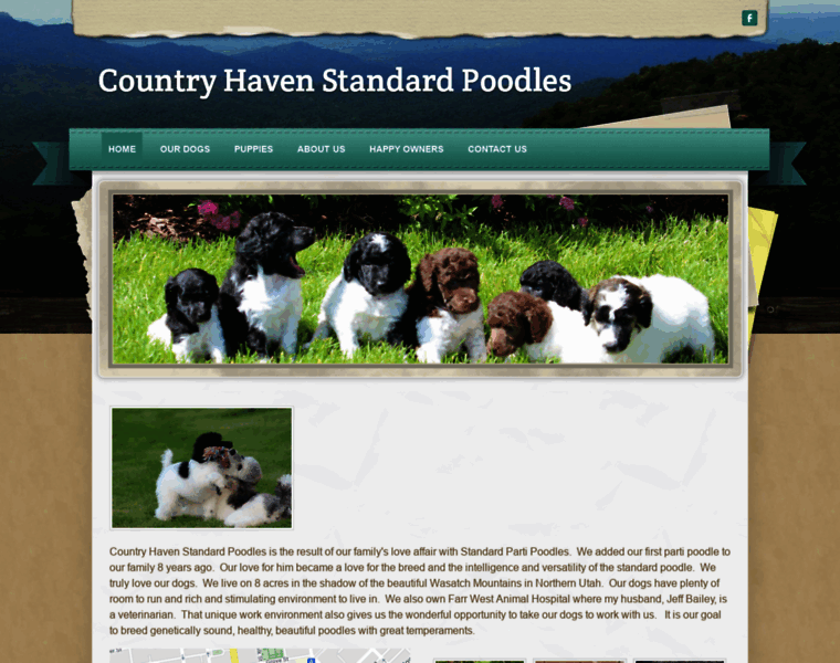 Countryhavenstandardpoodles.com thumbnail