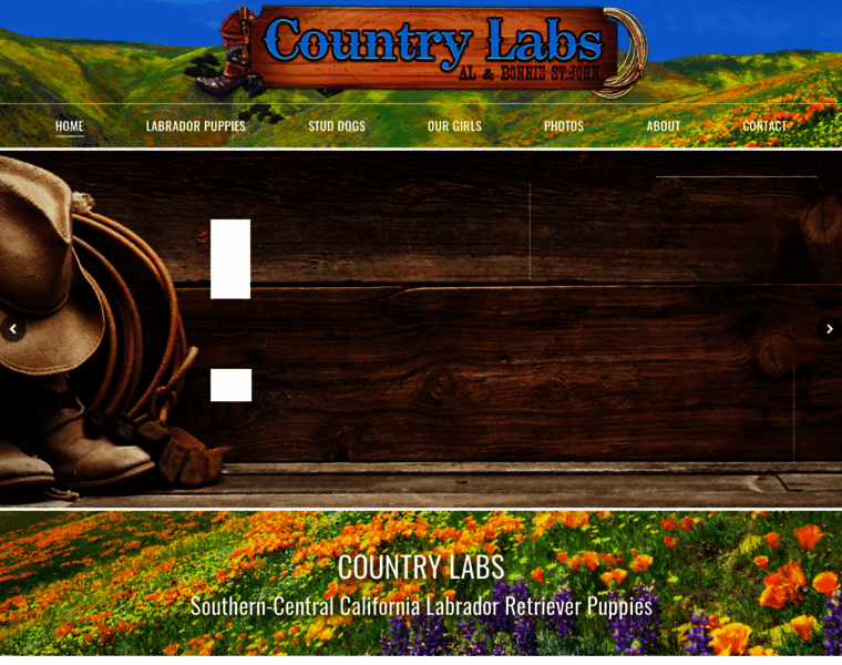 Countrylabs.com thumbnail