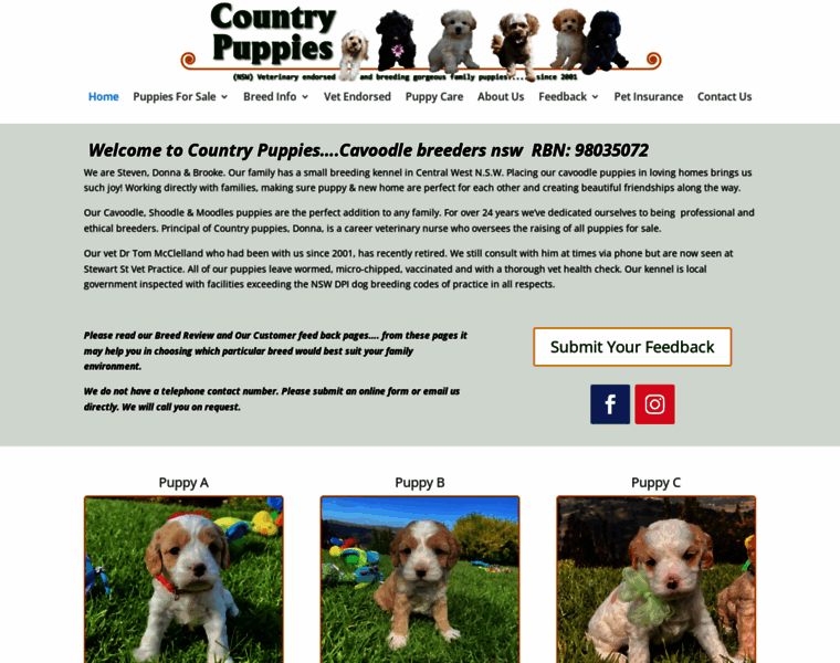 Countrypuppies.com thumbnail