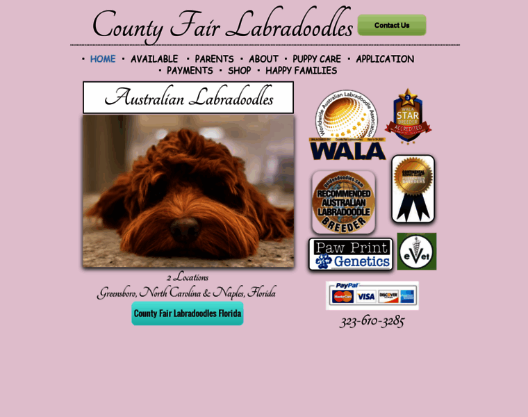 Countyfairlabradoodles.com thumbnail