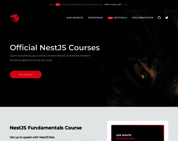 Courses.nestjs.com thumbnail