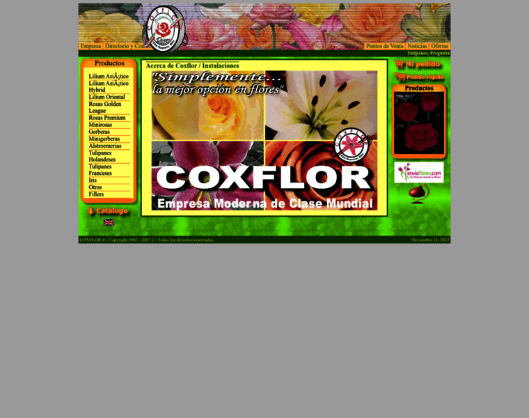 Coxflor.com thumbnail