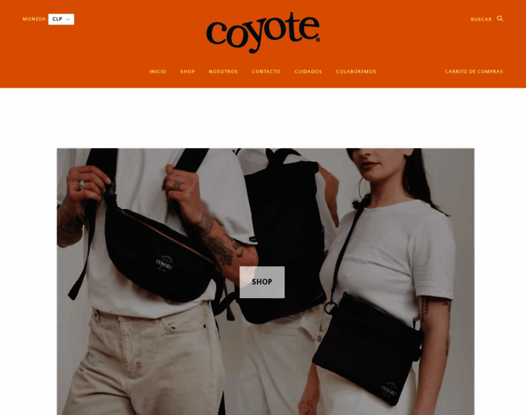 Coyotebags.cl thumbnail