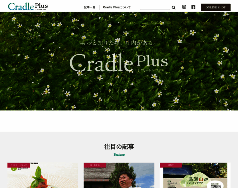 Cradle-plus.com thumbnail