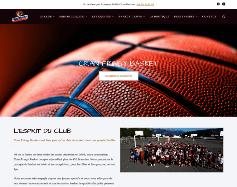 Cranpringy-basket.com thumbnail