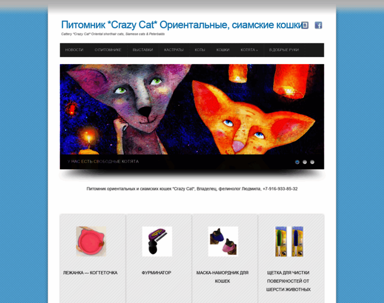 Crazy-cat.ru thumbnail