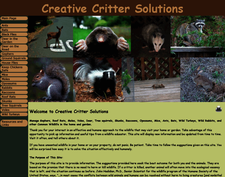 Creativecrittersolutions.org thumbnail