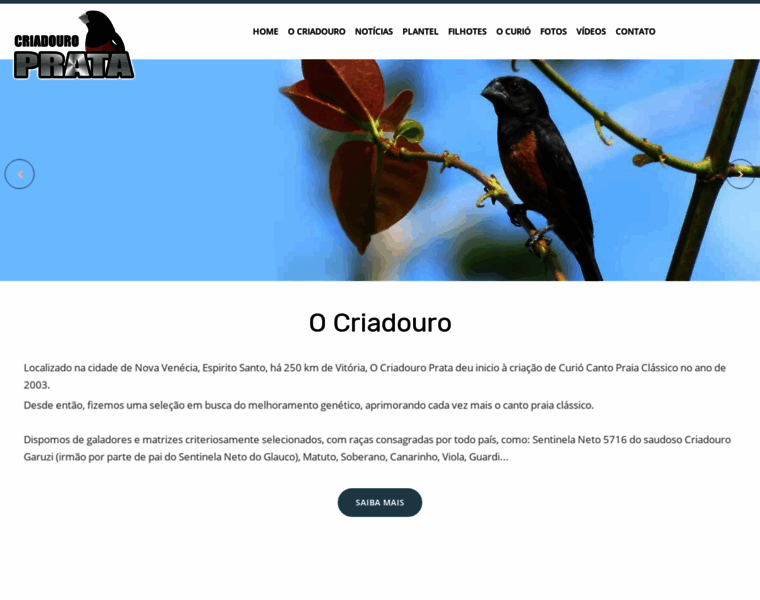 Criadouroprata.com.br thumbnail