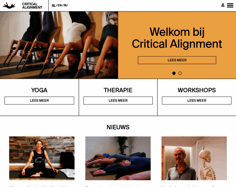 Criticalalignment.nl thumbnail