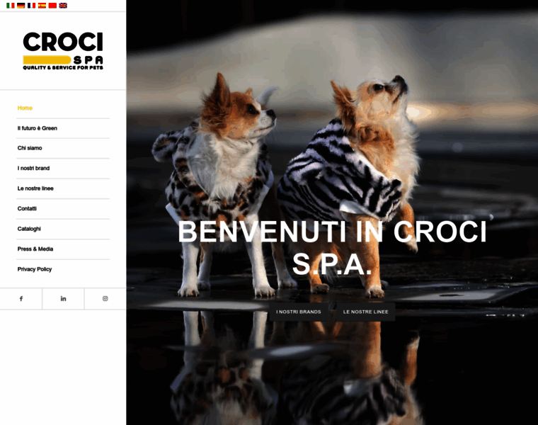Croci-spa.it thumbnail
