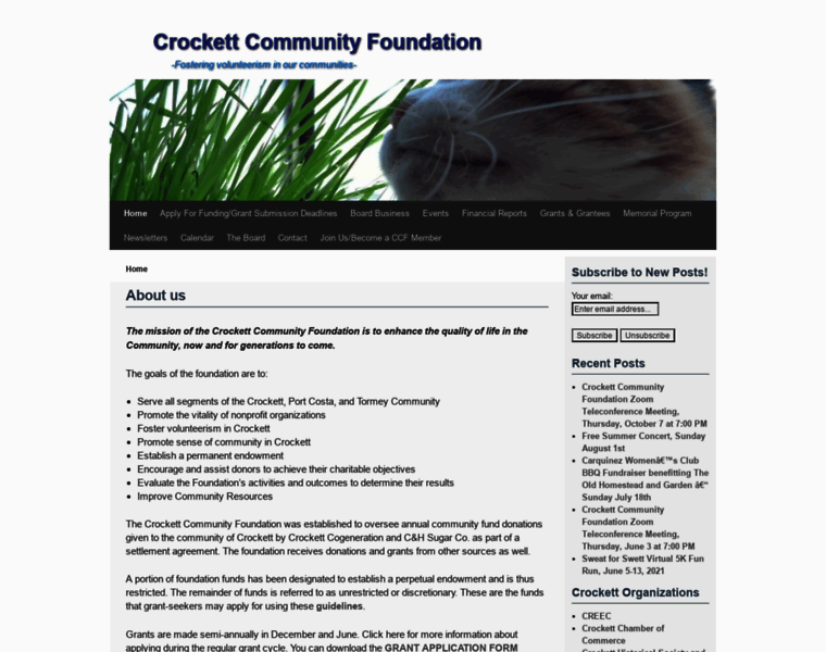 Crockettcommunityfoundation.org thumbnail