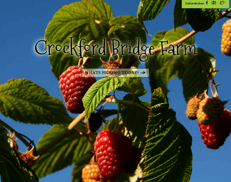 Crockfordbridgefarm.co.uk thumbnail