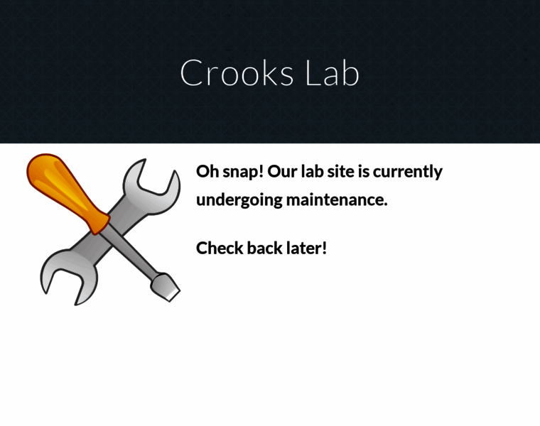 Crookslab.com thumbnail