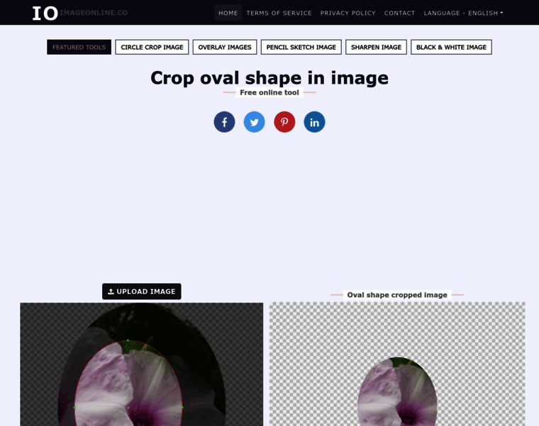 Crop-oval.imageonline.co thumbnail