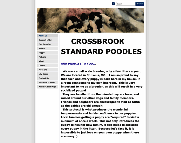 Crossbrookpoodles.com thumbnail
