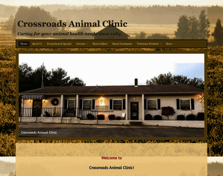 Crossroads-animal-clinic.com thumbnail