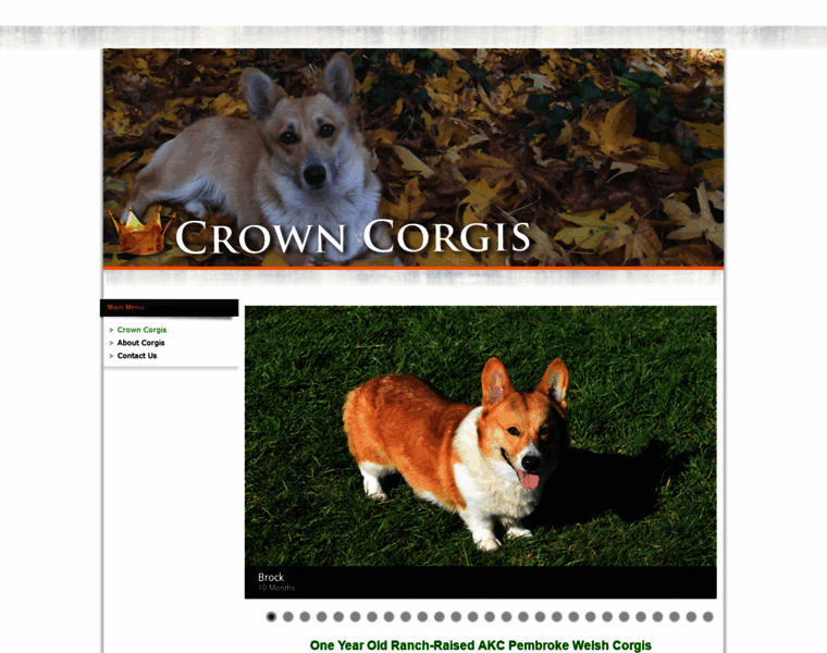 Crowncorgis.com thumbnail