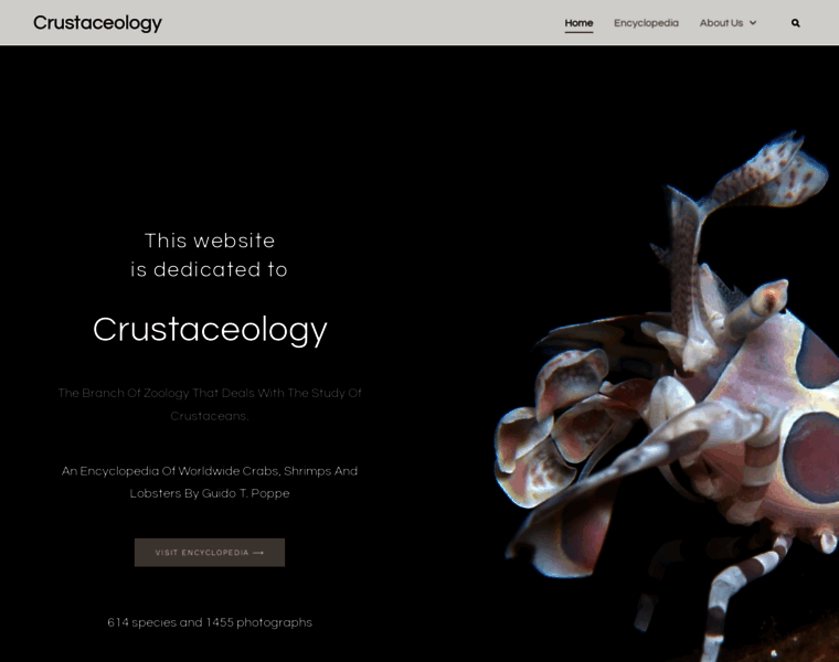 Crustaceology.com thumbnail