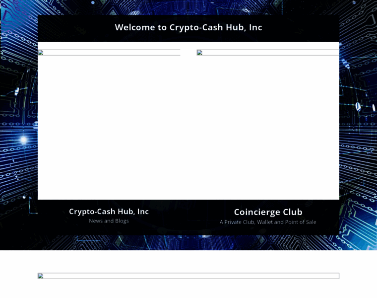 Cryptocashhub.com thumbnail