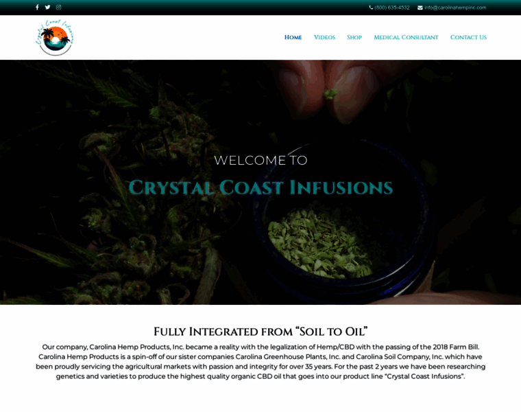 Crystalcoastinfusions.com thumbnail