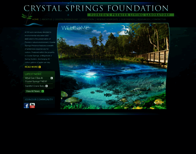 Crystalspringsfoundation.org thumbnail
