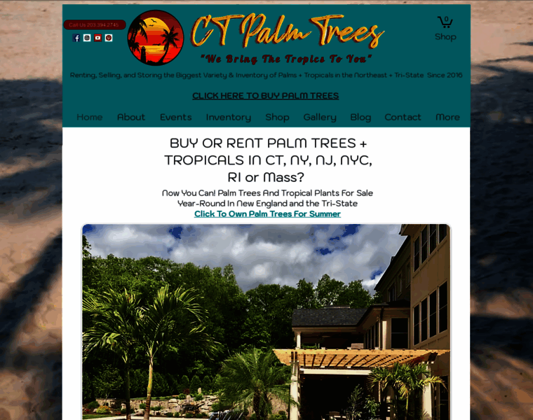 Ctpalm.com thumbnail