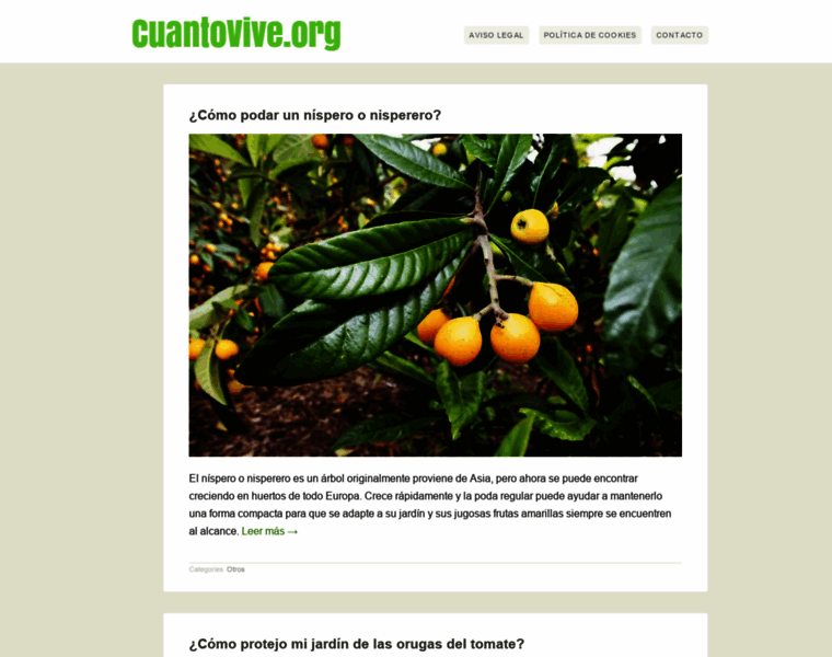 Cuantovive.org thumbnail
